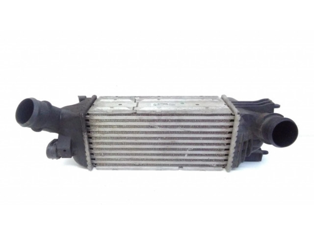 Интеркулер  IA1095, 874823NK   Peugeot 407 2.0