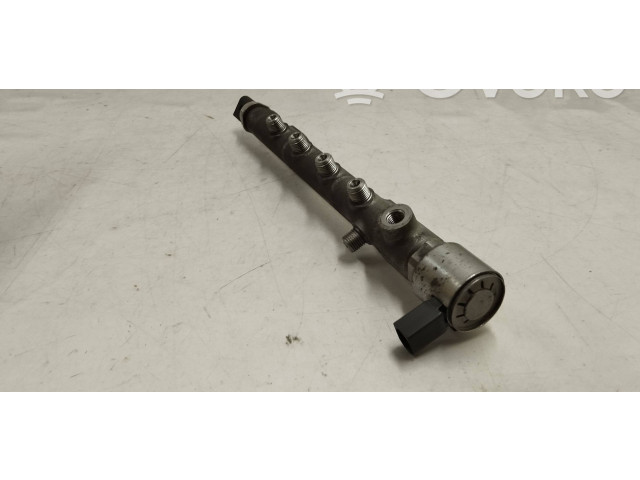 Топливная рампа A6510700495, A6510700700   Mercedes-Benz E W212  