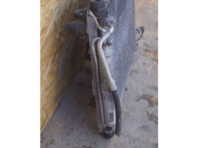 Комплект радиатора    Renault  Clio III  2005 - 2012 года