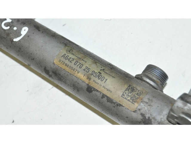 Vstřikovací lišta A6420702595, A0051538328   Mercedes-Benz S W221    OM 642.932 