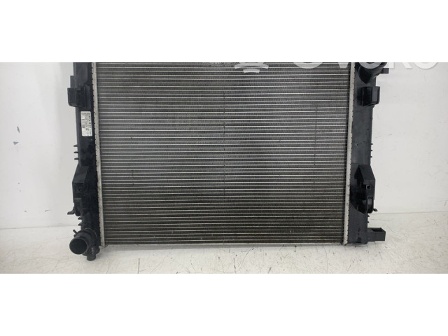 Боковая подушка безопасности 214107326R   Dacia Sandero