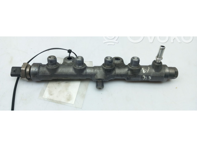 Vstřikovací lišta 9821399680, 0445214361 Citroen C3