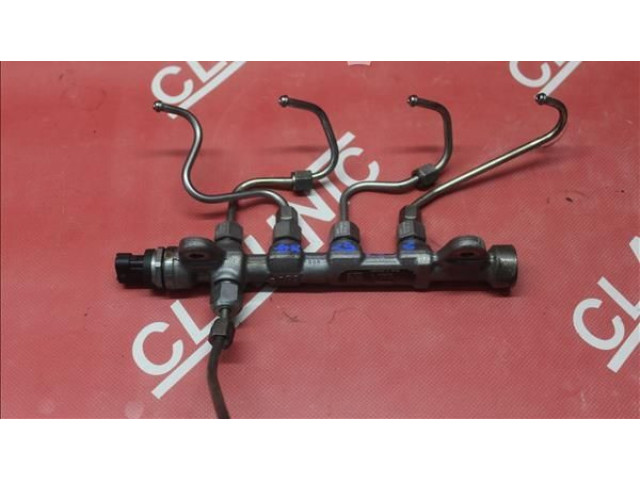 Топливная рампа 55234039, AR.011.25.29136 Alfa Romeo Giulietta