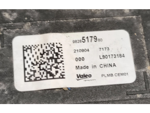 Блок управления 9828517980, 210904   Peugeot 2008 II