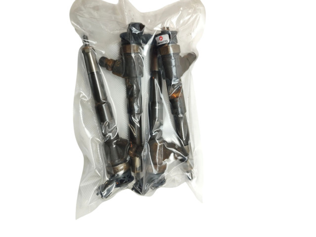 Форсунка Dacia Lodgy