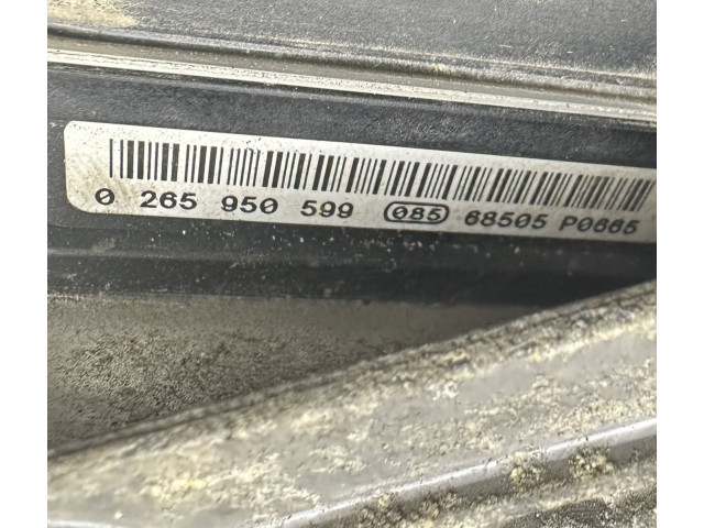 Топливная рампа 0014461489, 0265950599   Mercedes-Benz Vito Viano W639   для двигателя OM 646.983