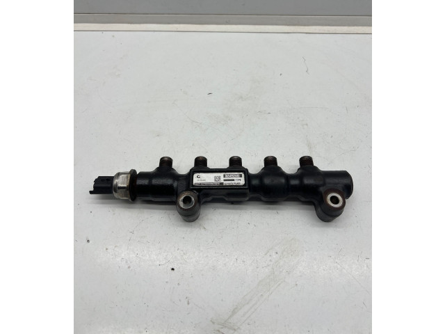 Топливная рампа 9655465480, 9654592680   Citroen C3  