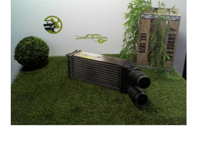 Интеркулер 9645965180, 9645965180 Citroen Xsara Picasso