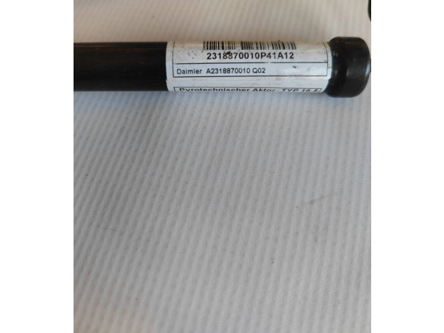 Блок управления A2318870010, 234867001R2   Mercedes-Benz SL AMG R231