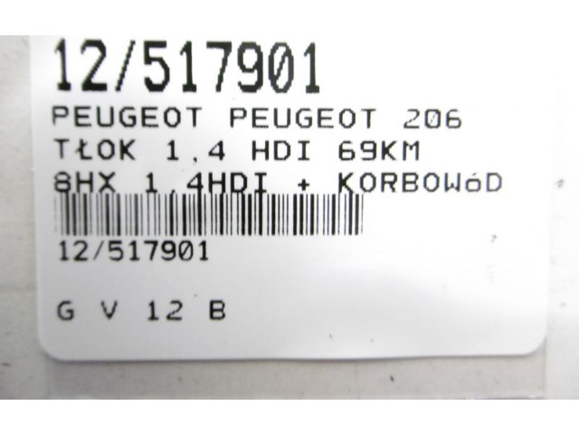 Píst Peugeot 206 CC 8
