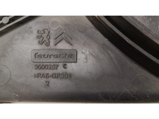 Вентилятор радиатора     3000257, 0099018100948    Citroen C5 2.0