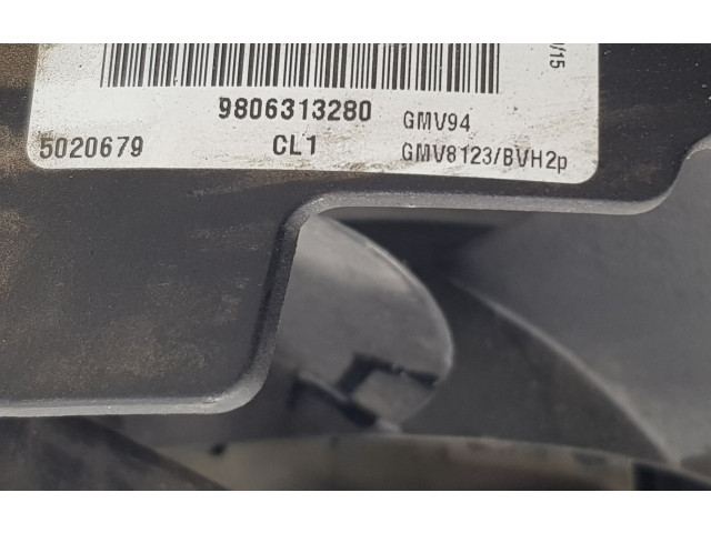 Вентилятор радиатора 9806313280, 9806313280 Citroen C4 II Picasso