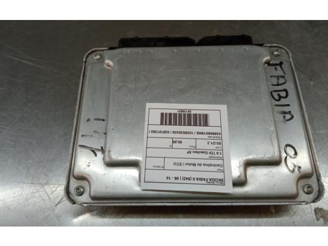 Блок управления двигателя 038906019NS, 028101382   Skoda Fabia Mk2 (5J)