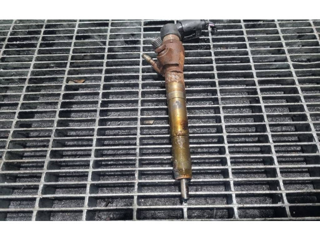 Жиклер (жиклеры) (форсунка (форсунки) 25837, 166006212R Dacia Duster