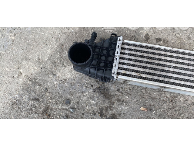 Интеркулер  31317905, 0261230294   Volvo S40 2.4