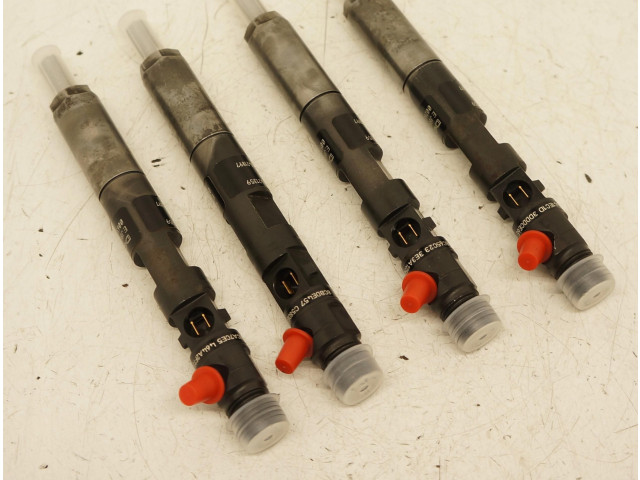 Комплект форсунок 2471LY23F53    Renault Clio III   