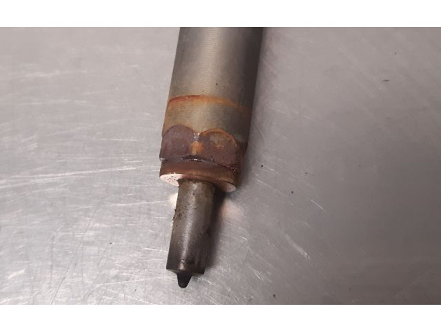 Форсунка 166008399R Renault Clio IV