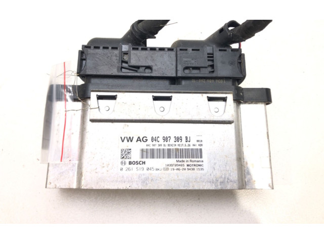 Блок управления двигателем Блок управления 04C907309BJ   Skoda Fabia Mk3 (NJ)