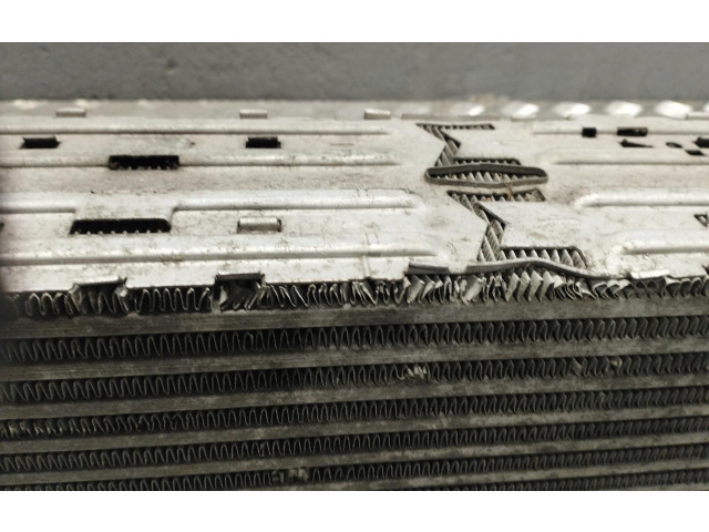 Интеркулер     BMW X3 F25 