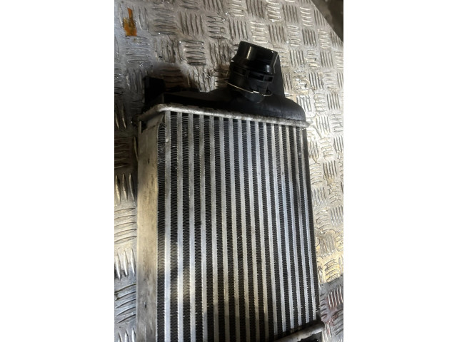 Интеркулер Dacia Duster