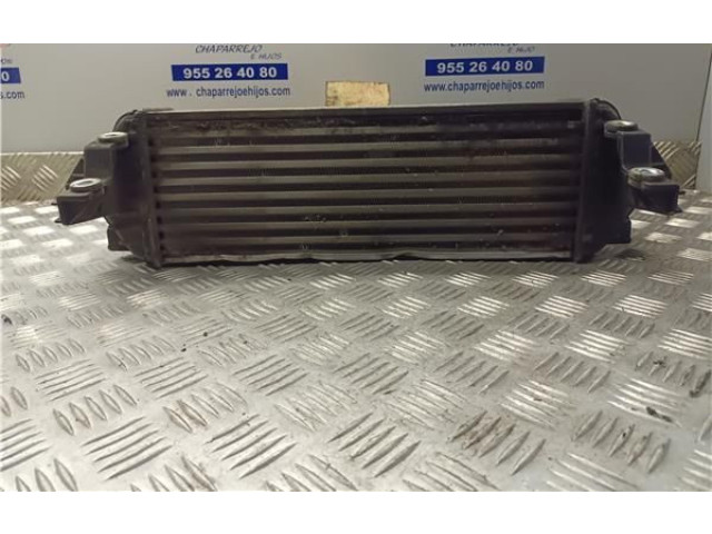 Интеркулер     Ford Transit -  Tourneo Connect 