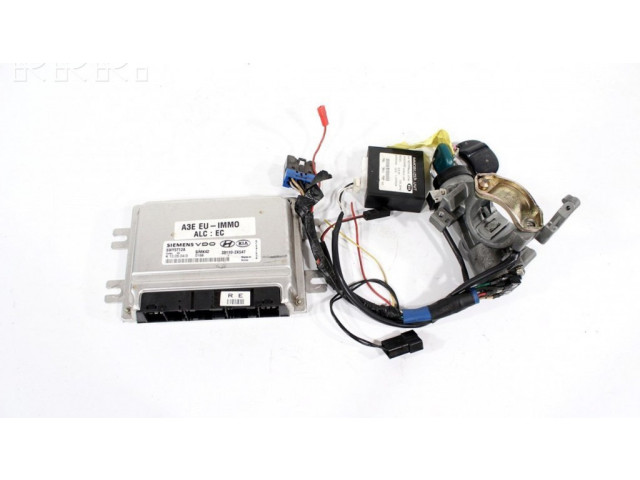 Комплект блоков управления 5WY5712A, 391102X547 KIA Rio