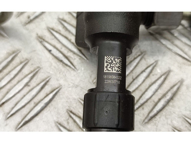 Комплект системы впрыска топлива 9674300080, 9674984080    Ford Kuga II  xrmc 