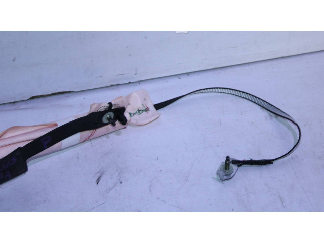 Надувная подушка для крыши Ford Focus