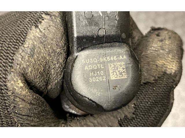 Форсунка 5U3Q9K546AA, 30262    Citroen C5   