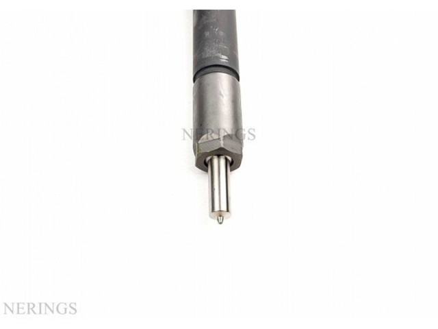 Форсунка 0445110351, 0986435204    Citroen Nemo   