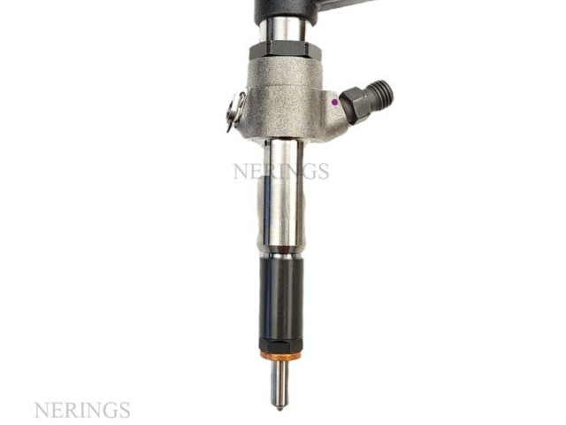 Форсунка 5WS40149-Z, 5WS40149 Citroen C2