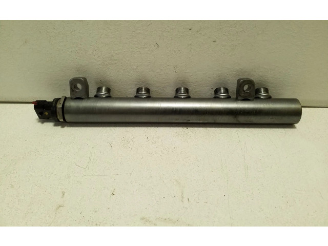 Vstřikovací lišta 175210542R, 028006192 Nissan X-Trail T32