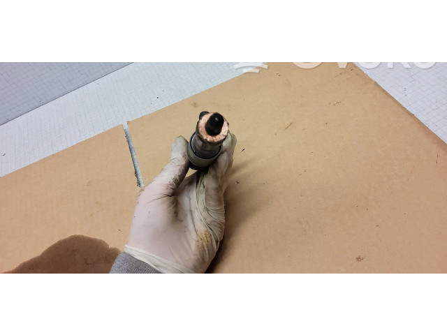 Форсунка 0445110, 7793836 BMW X3 E83