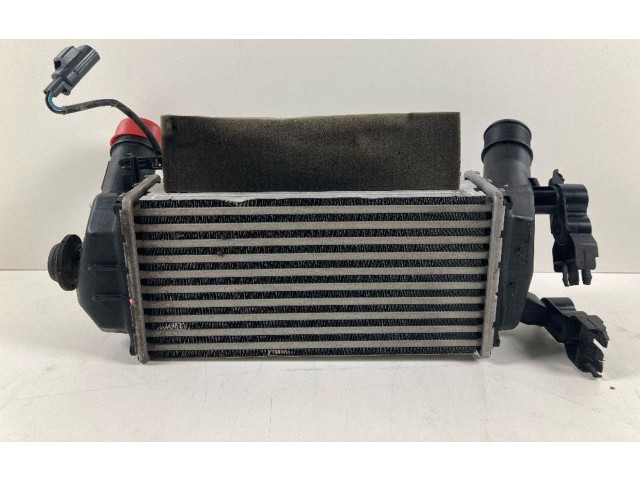 Интеркулер GN1119E839AC Ford Ecosport