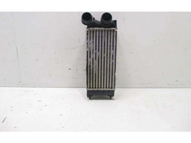 Vstřikovací lišta 818226 Citroen Berlingo