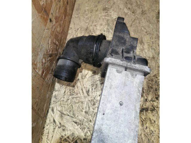 Интеркулер 52414109, 104112 Opel Meriva A