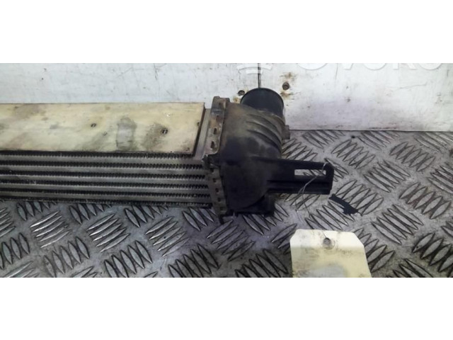 Интеркулер  00000384L7   Citroen Nemo 