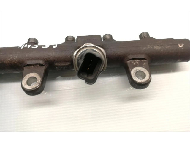 Топливная рампа H8200296867, 8200397346   Renault Clio III  