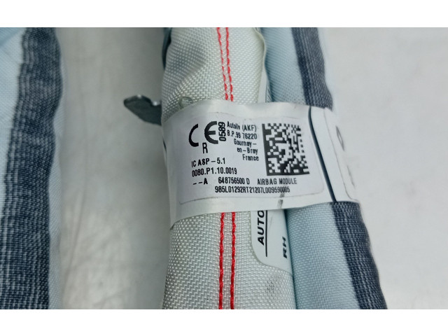 Боковая подушка безопасности 648756500D Dacia Sandero