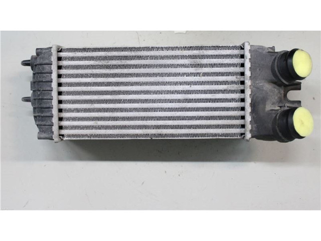 Интеркулер 0384G5, 874964GJ Citroen Berlingo
