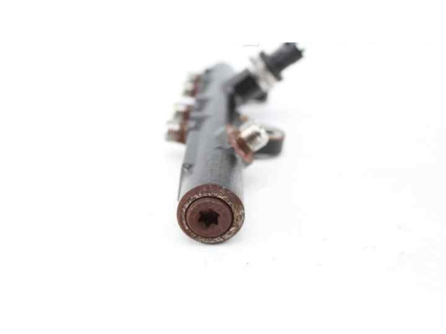 Vstřikovací lišta 175215346R Dacia Sandero