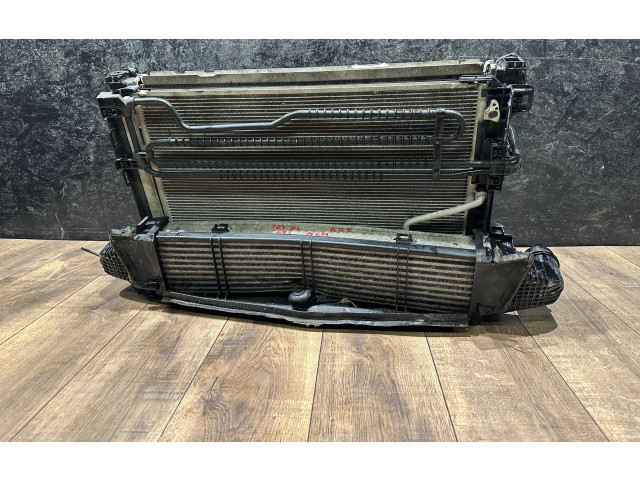 Pojistková skříňka Комплект радиатора 67167, 048222 Mercedes-Benz C W204 2012