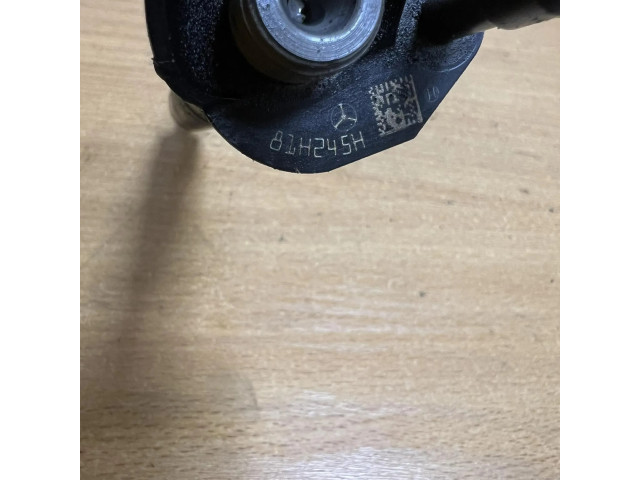 Vstřikovač 81H245H, D9629 Mercedes-Benz E W212