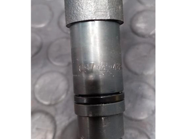 Форсунка 087Z484410    Mitsubishi Montero   