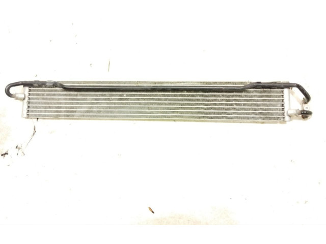 Vstřikovač 7P0317019A, R525 Porsche Cayenne (92A) MCG.EA