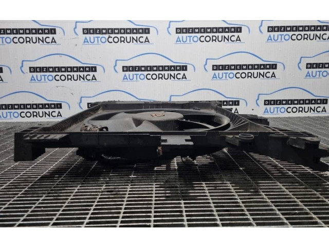 Вентилятор радиатора     214819914R, 3420202013    Dacia Duster 