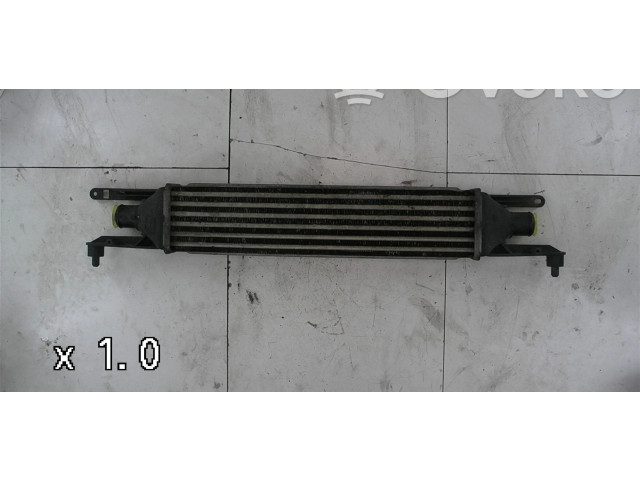 Интеркулер  0000050540161   Fiat Punto Evo 