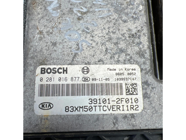 Блок управления двигателя 391012F010, 0281016877   KIA Sorento