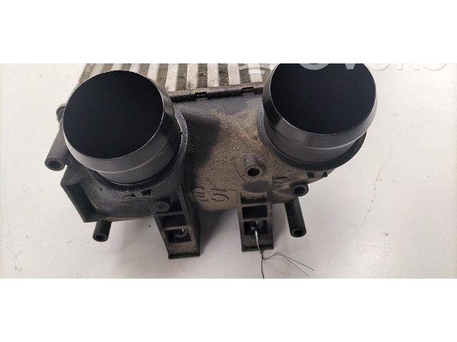 Интеркулер 00000384N9 Citroen C4 II