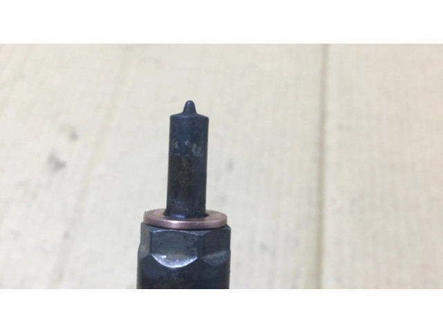 Vstřikovač 0445110252, 565889 Peugeot 206 CC pro naftový motor 1.4 DV4TD